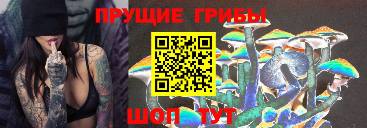 Сальск  Псилоцибиновые грибы ЛСД  Вход с VPN  где продают   Галлюциногенные грибы мухоморы 